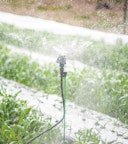 Field Irrigation Wobbler Cropped