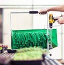 Microgreens Flat